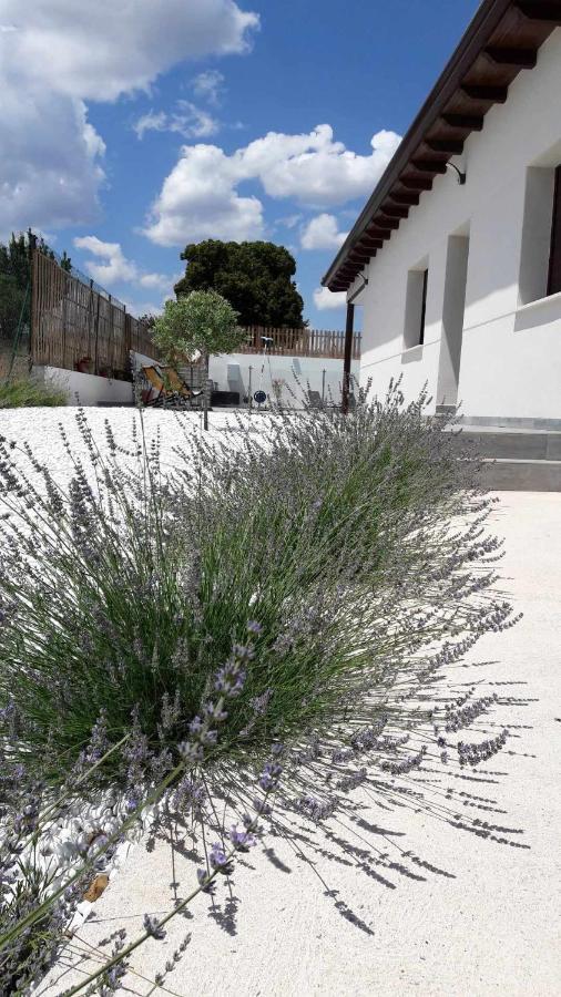 La Perla Casa Rural Sostenible Hiendelaencina Luaran gambar